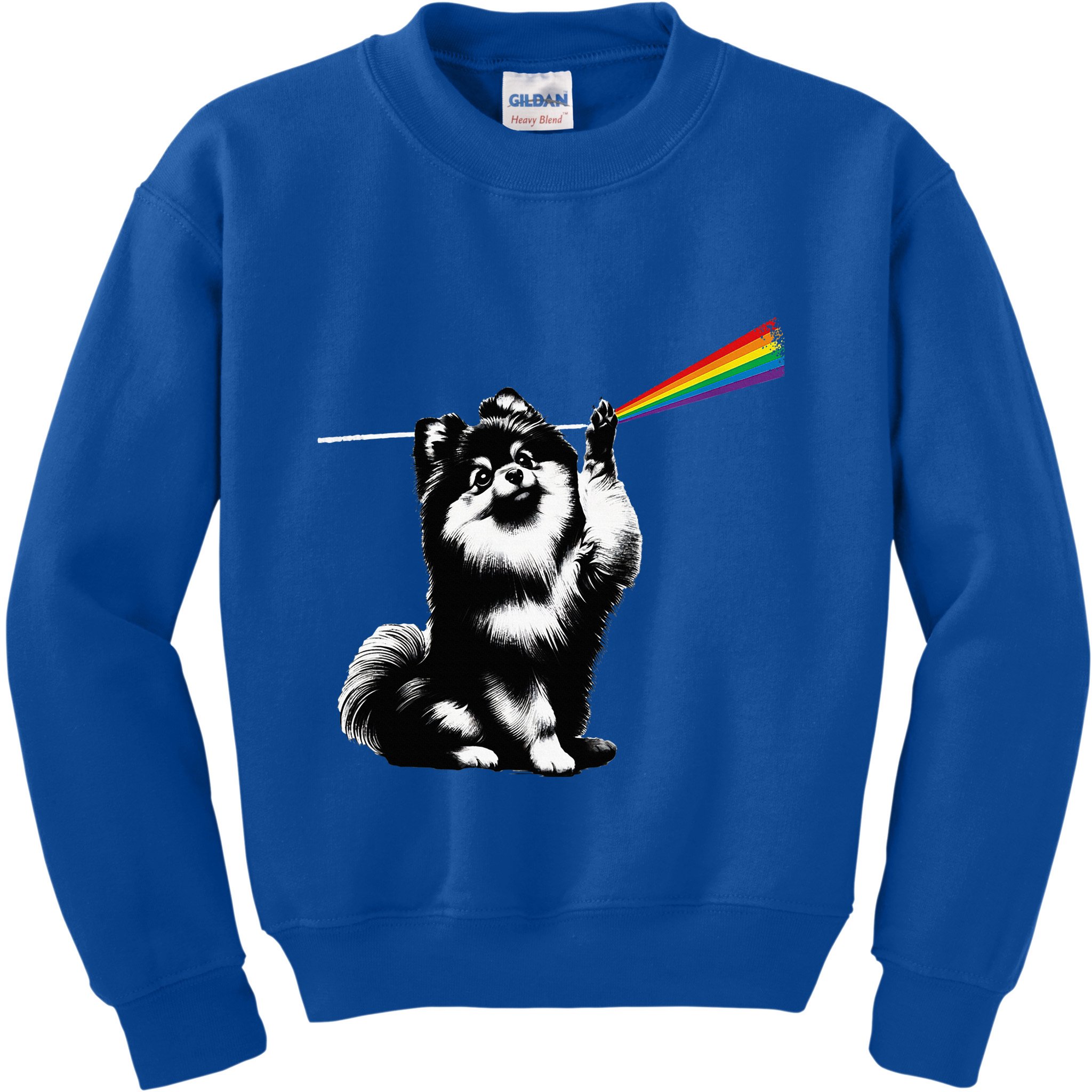 Funny Pomeranian Dog Rock Music Rainbow Fun Dark Side Moon Kids Sweatshirt
