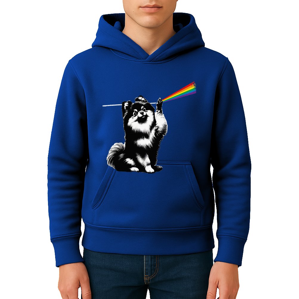 Funny Pomeranian Dog Rock Music Rainbow Fun Dark Side Moon Kids Hoodie