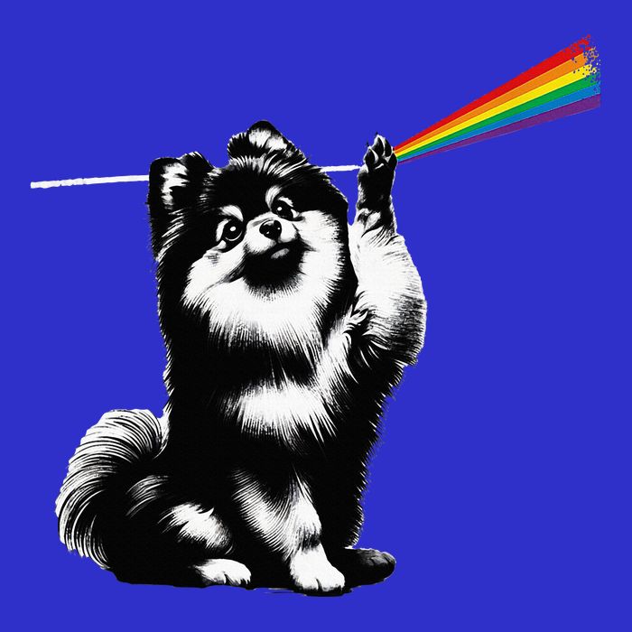 Funny Pomeranian Dog Rock Music Rainbow Fun Dark Side Moon Kids Hoodie