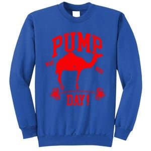 Funny Pump Day Hump Day Camel Weight Lifting Training Gym Funny Gift Sweatshirt