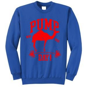 Funny Pump Day Hump Day Camel Weight Lifting Training Gym Funny Gift Tall Sweatshirt