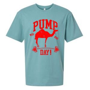 Funny Pump Day Hump Day Camel Weight Lifting Training Gym Funny Gift Sueded Cloud Jersey T-Shirt