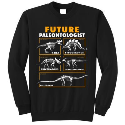 Future Paleontologist Dinosaur Fossil Paleontology Kids Boys Sweatshirt