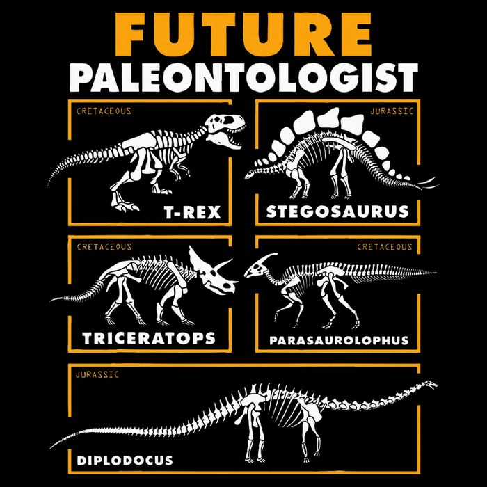 Future Paleontologist Dinosaur Fossil Paleontology Kids Boys 16 in Basic Backpack