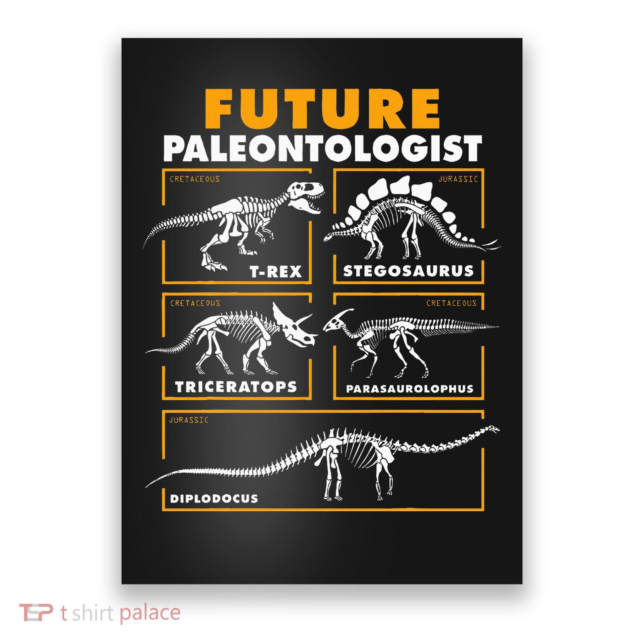 Future Paleontologist Dinosaur Fossil Paleontology Kids Boys Poster