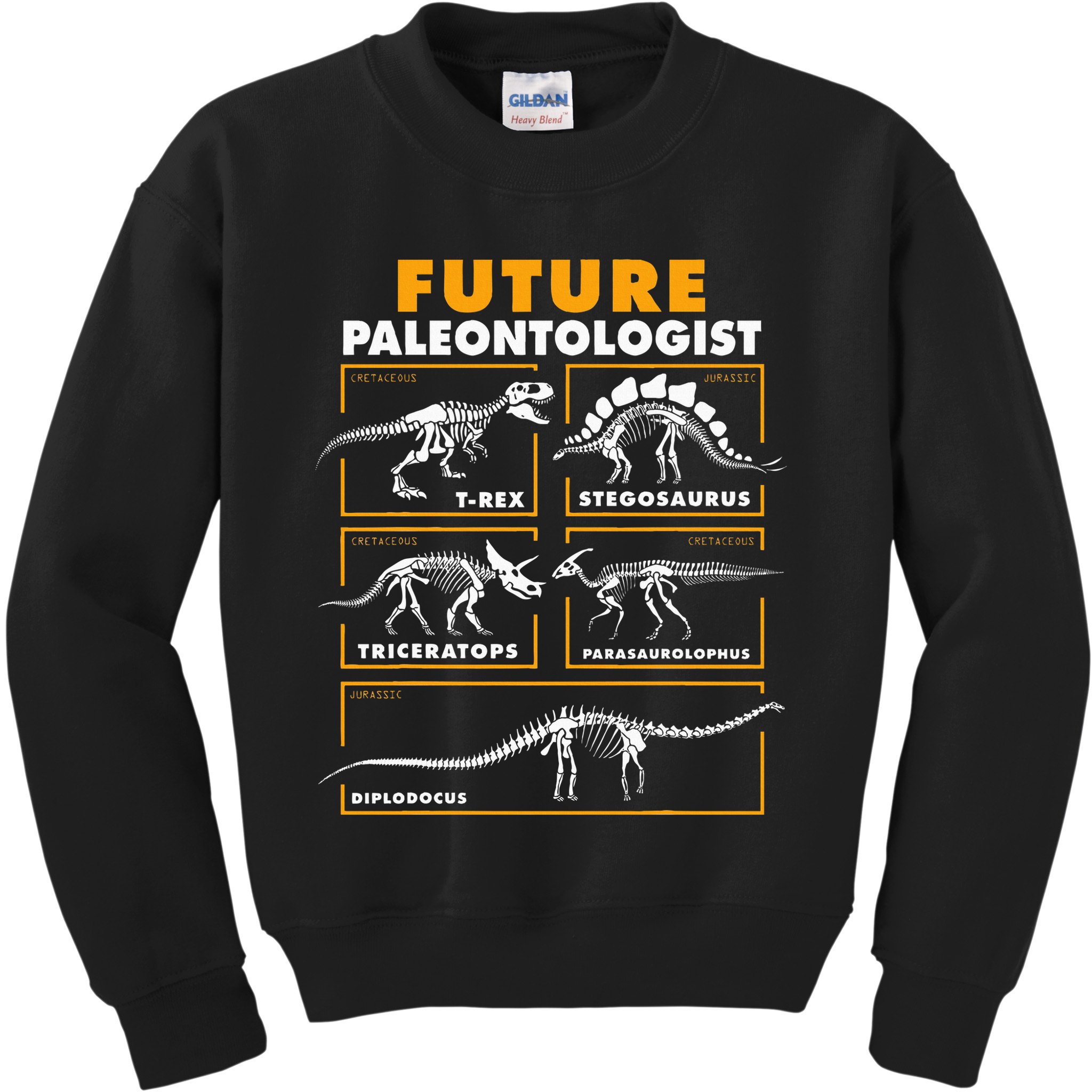 Future Paleontologist Dinosaur Fossil Paleontology Kids Boys Kids Sweatshirt