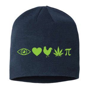 Funny Pi Day I Love Chicken Pot Pie Marijuana Math Gift Funny Gift Sustainable Beanie