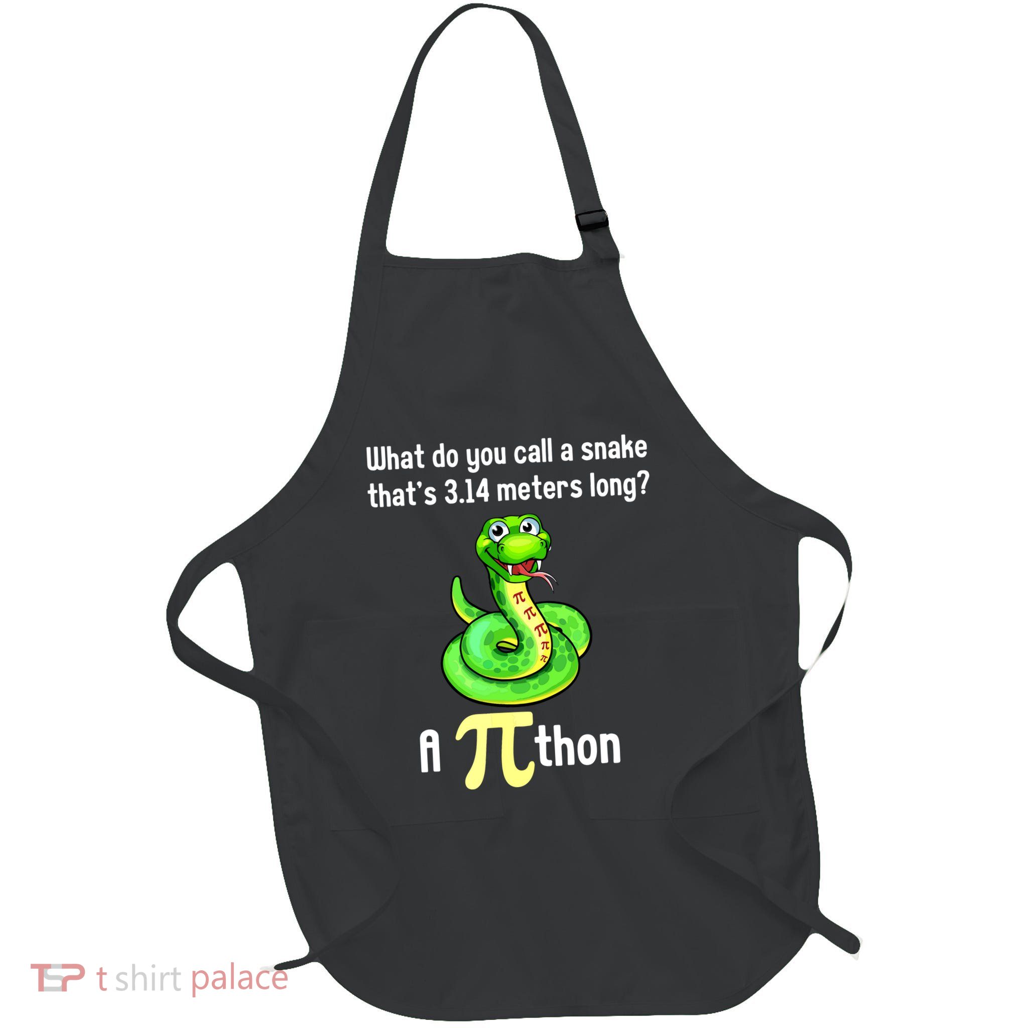 Funny Pi Day Puns Pithon Math Teacher Jokes Apron