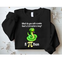 Funny Pi Day Puns Pithon Math Teacher Jokes Sweatshirt