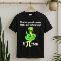 Funny Pi Day Puns Pithon Math Teacher Jokes T-Shirt