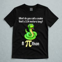 Funny Pi Day Puns Pithon Math Teacher Jokes T-Shirt