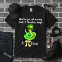 Funny Pi Day Puns Pithon Math Teacher Jokes Tall T-Shirt