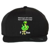 Funny Pi Day Puns Pithon Math Teacher Jokes Wool Snapback Cap