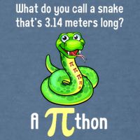 Funny Pi Day Puns Pithon Math Teacher Jokes Garment-Dyed Sweatshirt
