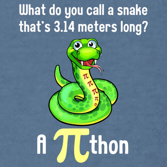 Funny Pi Day Puns Pithon Math Teacher Jokes Garment-Dyed Sweatshirt