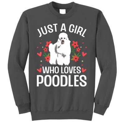 Funny Poodle Design For Girl Women Standard Poodle Lovers Tall Sweatshirt