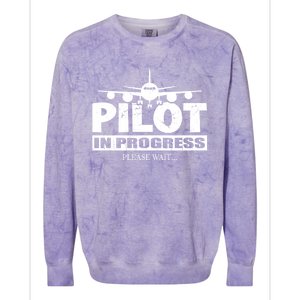 Funny Pilot Design Copilot Flight Pilot In Progress Future Funny Gift Colorblast Crewneck Sweatshirt