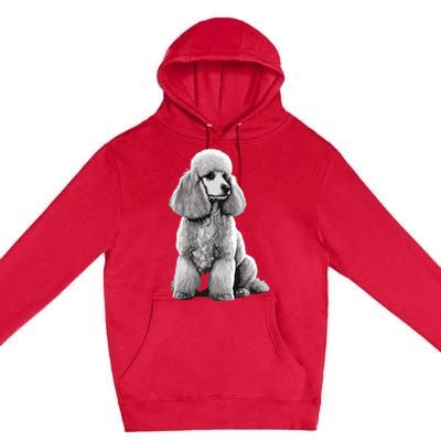 Funny Poodle Dog Miniature Poodle Toy Poodle 1995 Premium Pullover Hoodie