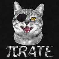 Funny Pi Day Math Science Cat Pirate Ladies PosiCharge Tri-Blend Wicking Tank