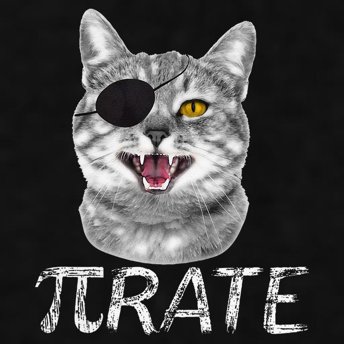 Funny Pi Day Math Science Cat Pirate Ladies PosiCharge Tri-Blend Wicking Tank