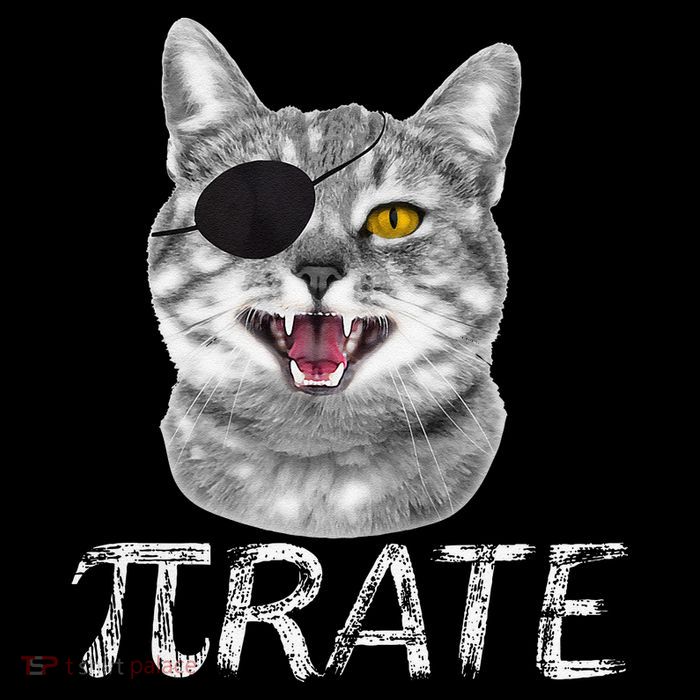 Funny Pi Day Math Science Cat Pirate City Backpack