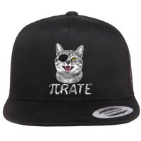 Funny Pi Day Math Science Cat Pirate Flatbill Hat