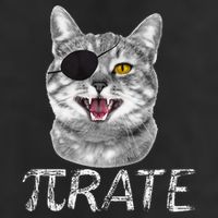 Funny Pi Day Math Science Cat Pirate 25L Jumbo Tote
