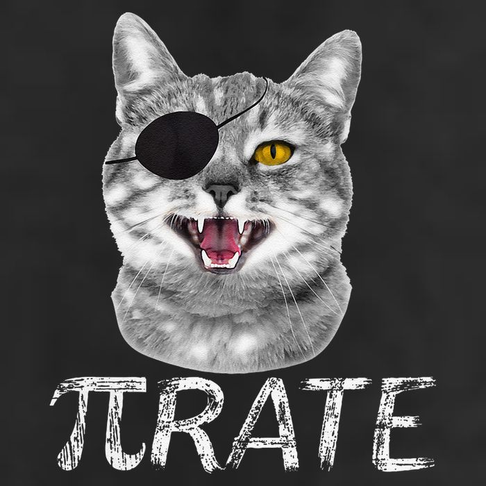 Funny Pi Day Math Science Cat Pirate 25L Jumbo Tote