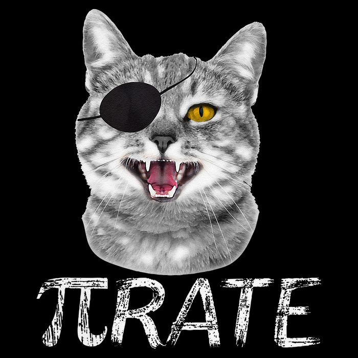 Funny Pi Day Math Science Cat Pirate Baby Bodysuit