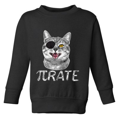 Funny Pi Day Math Science Cat Pirate Toddler Sweatshirt