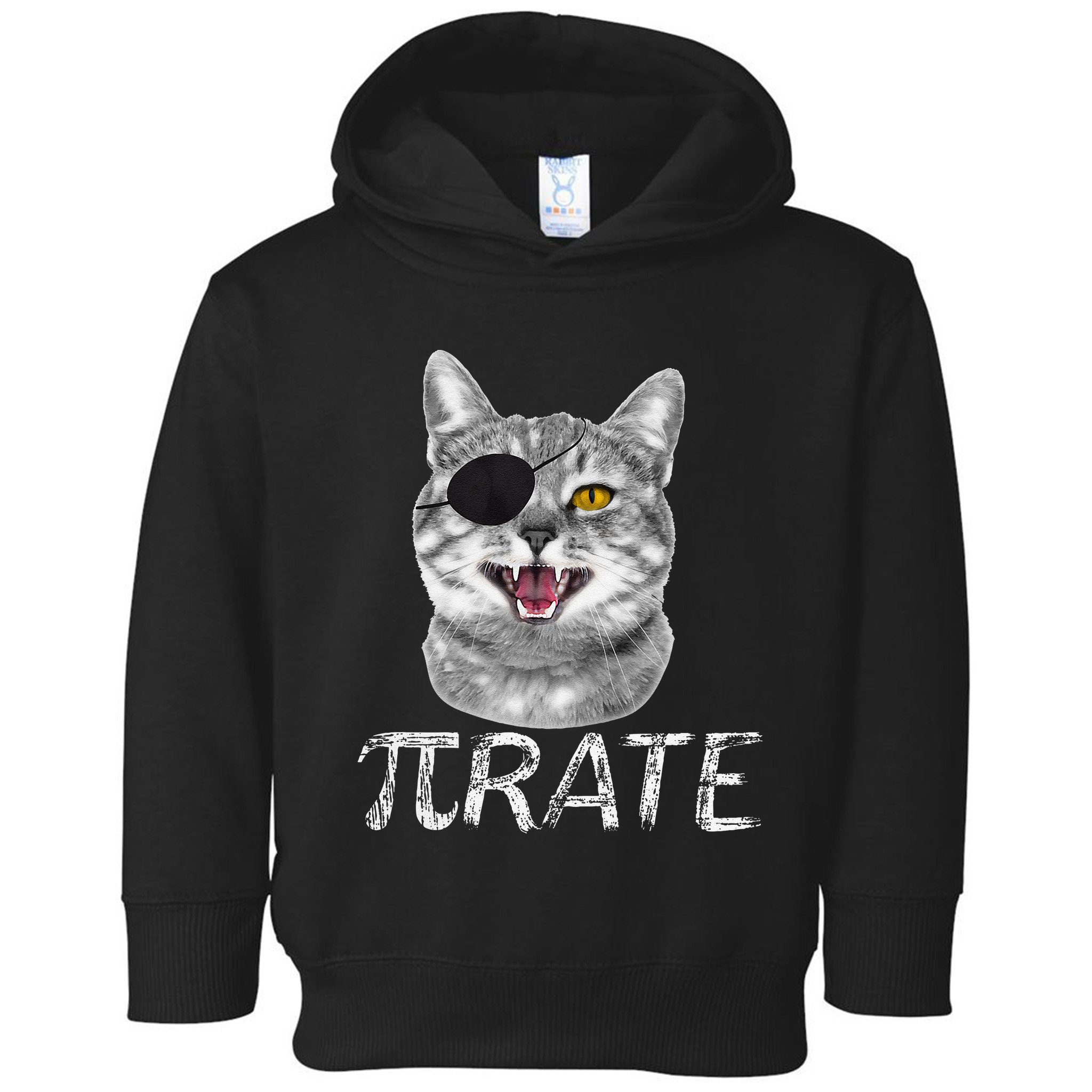 Funny Pi Day Math Science Cat Pirate Toddler Hoodie