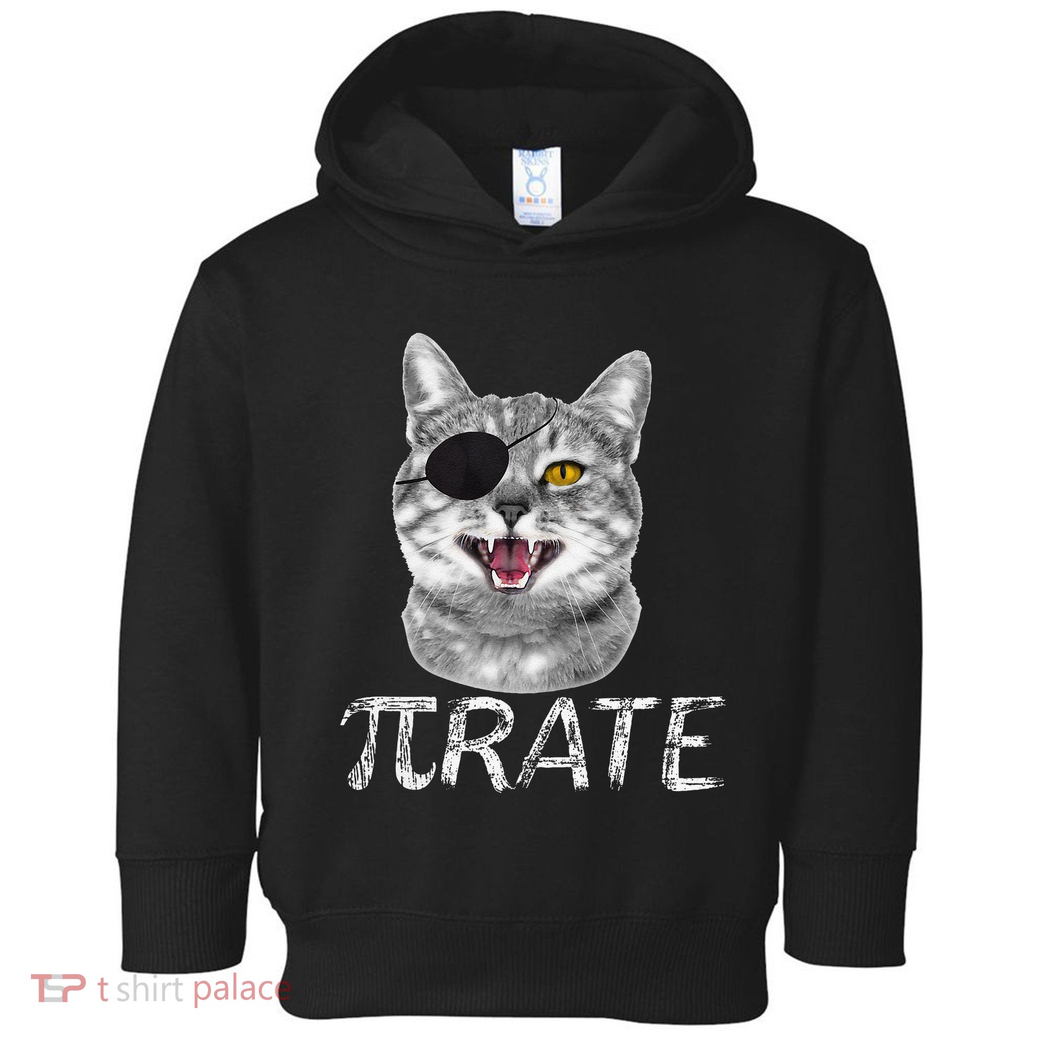 Funny Pi Day Math Science Cat Pirate Toddler Hoodie