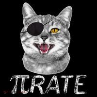 Funny Pi Day Math Science Cat Pirate Visor