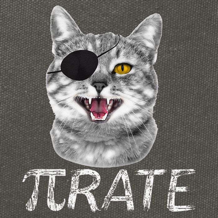 Funny Pi Day Math Science Cat Pirate Cotton Canvas Backpack