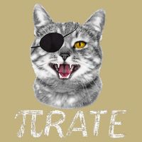 Funny Pi Day Math Science Cat Pirate T-Shirt