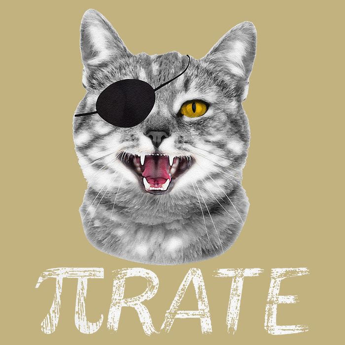 Funny Pi Day Math Science Cat Pirate T-Shirt
