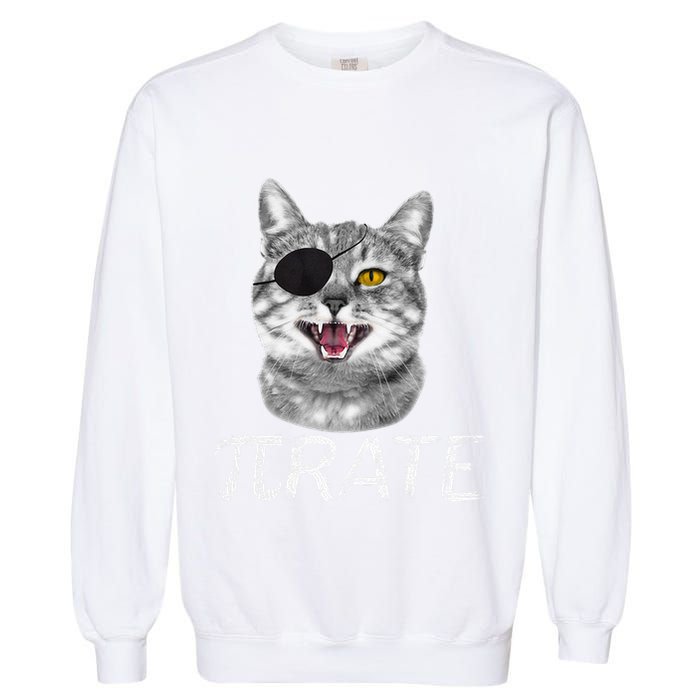 Funny Pi Day Math Science Cat Pirate Garment-Dyed Sweatshirt