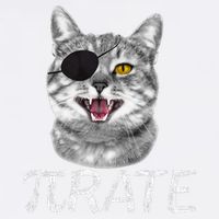 Funny Pi Day Math Science Cat Pirate Garment-Dyed Sweatshirt