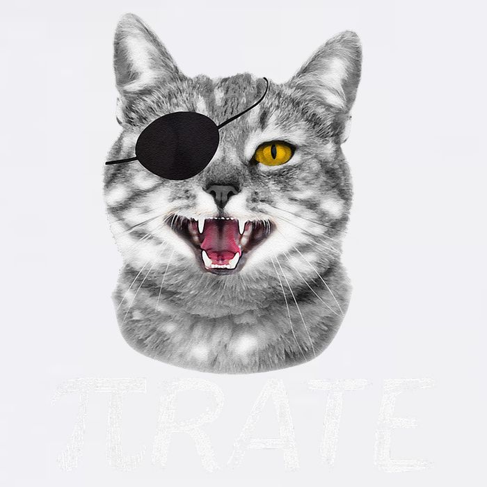 Funny Pi Day Math Science Cat Pirate Garment-Dyed Sweatshirt