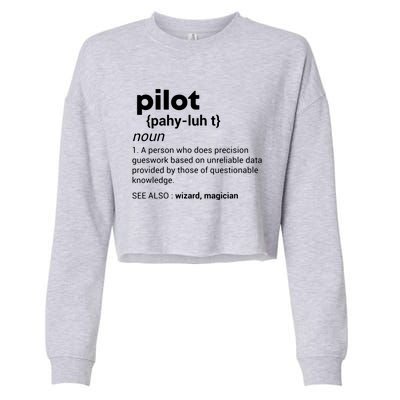 Funny Pilot Definition Design Airplane Jet Aviation Graphic Cropped Pullover Crew