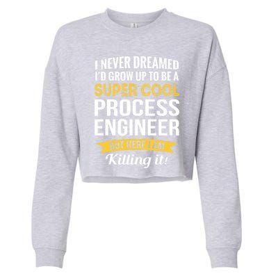 Funny Process Engineer Appreciation Funny Gift Cropped Pullover Crew