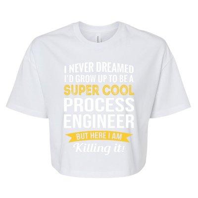 Funny Process Engineer Appreciation Funny Gift Bella+Canvas Jersey Crop Tee