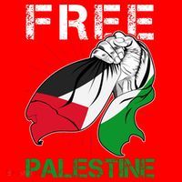 Free Palestine End War Support Palestine Flatbill Hat