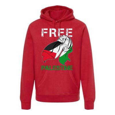 Free Palestine End War Support Palestine Premium Hoodie