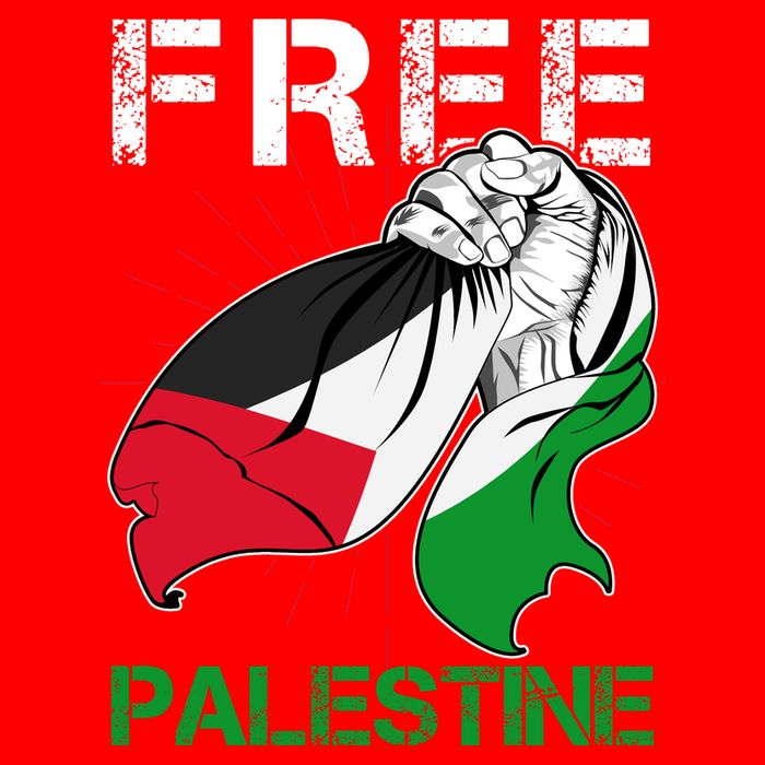 Free Palestine End War Support Palestine 16 in Basic Backpack