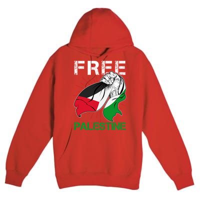 Free Palestine End War Support Palestine Premium Pullover Hoodie