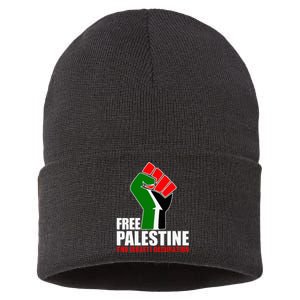 Free Palestine End Israeli Occupation Sustainable Knit Beanie