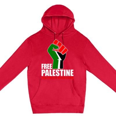 Free Palestine End Israeli Occupation Premium Pullover Hoodie