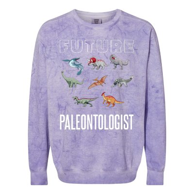 Future Paleontologist Colorblast Crewneck Sweatshirt