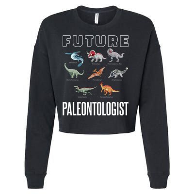 Future Paleontologist Cropped Pullover Crew